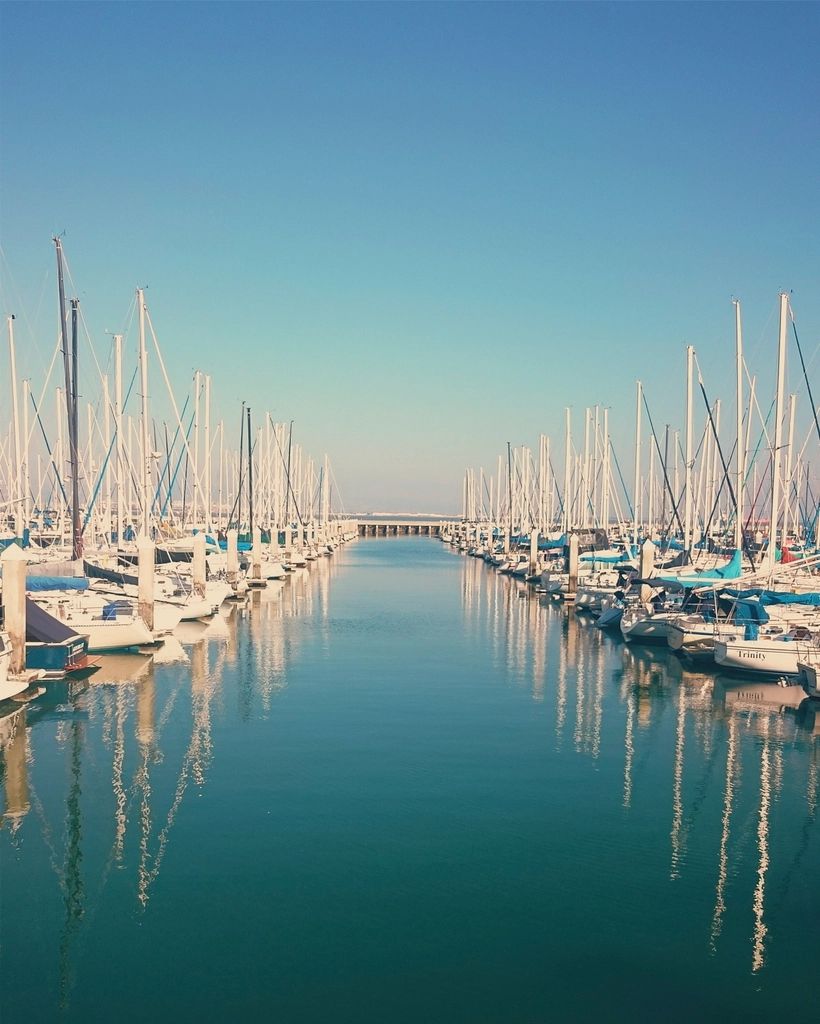 Boats moored at the harbour